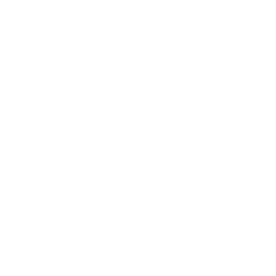 Om Reset Logo